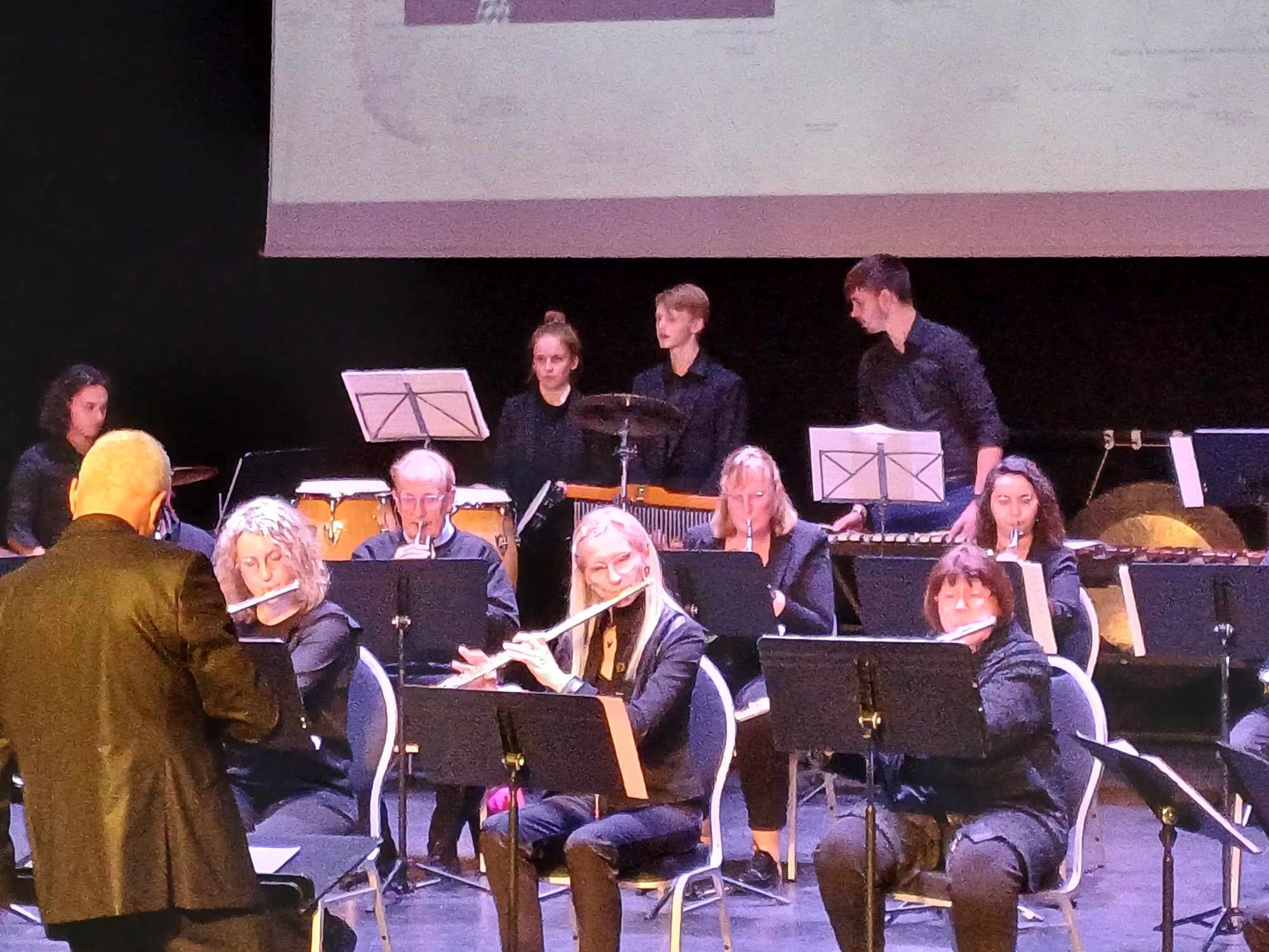 Concert de printemps bully les mines 10