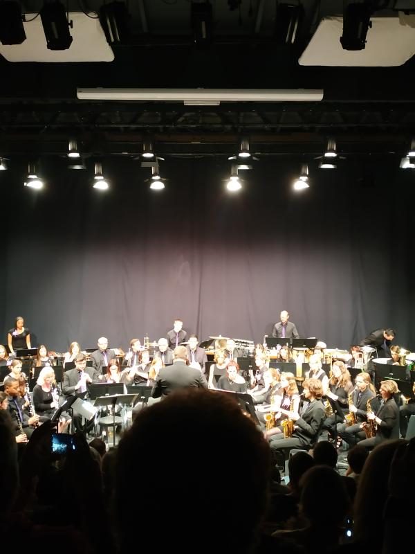 Concert Eldorado Wattignies